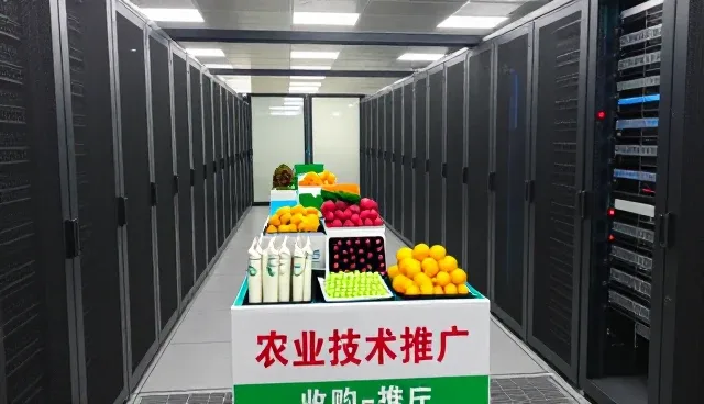 种植技术培训服务在渠道合作中的实际应用与价值体现