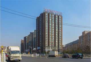 新西兰妇幼**益生菌